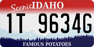 ID license plate 1T9634G