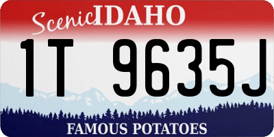 ID license plate 1T9635J