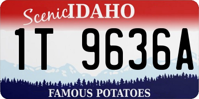 ID license plate 1T9636A