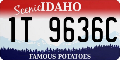 ID license plate 1T9636C