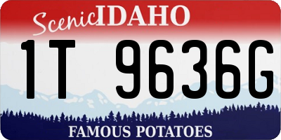 ID license plate 1T9636G