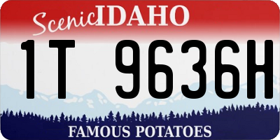 ID license plate 1T9636H