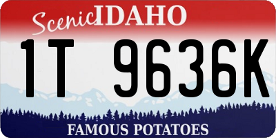 ID license plate 1T9636K