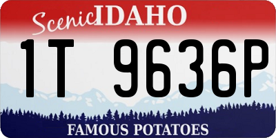 ID license plate 1T9636P
