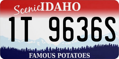 ID license plate 1T9636S