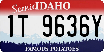 ID license plate 1T9636Y