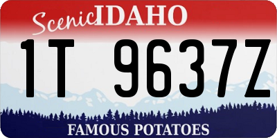 ID license plate 1T9637Z