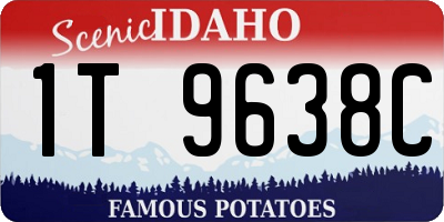 ID license plate 1T9638C