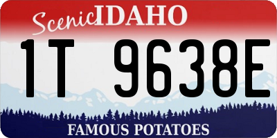 ID license plate 1T9638E