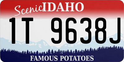 ID license plate 1T9638J