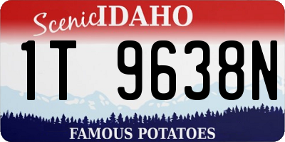 ID license plate 1T9638N