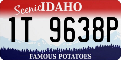 ID license plate 1T9638P