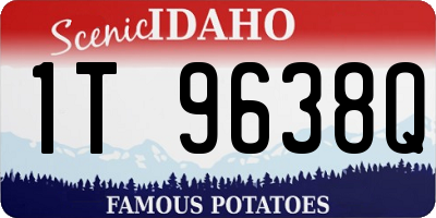 ID license plate 1T9638Q