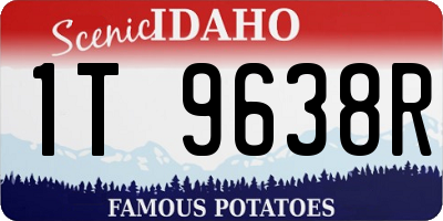 ID license plate 1T9638R