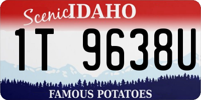 ID license plate 1T9638U