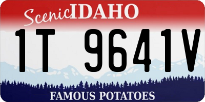 ID license plate 1T9641V