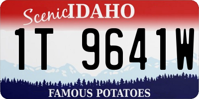 ID license plate 1T9641W