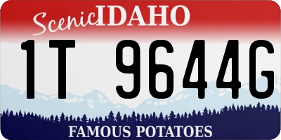 ID license plate 1T9644G