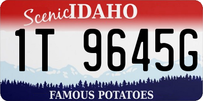 ID license plate 1T9645G