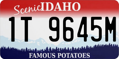 ID license plate 1T9645M