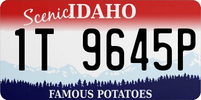 ID license plate 1T9645P