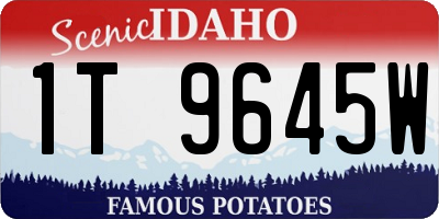 ID license plate 1T9645W