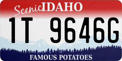ID license plate 1T9646G