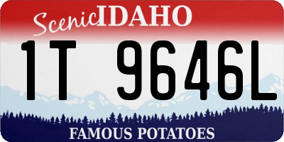 ID license plate 1T9646L