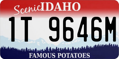 ID license plate 1T9646M