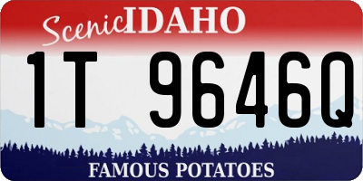 ID license plate 1T9646Q