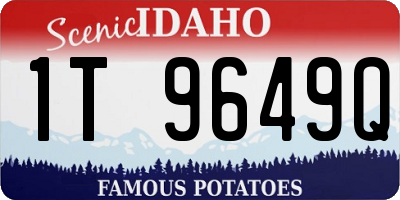 ID license plate 1T9649Q