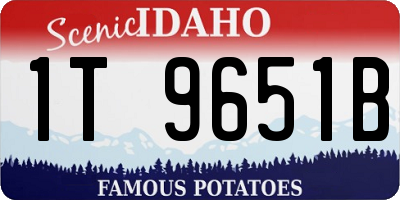 ID license plate 1T9651B
