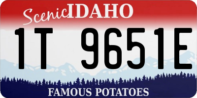 ID license plate 1T9651E