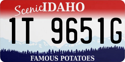 ID license plate 1T9651G