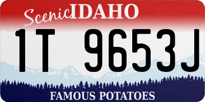 ID license plate 1T9653J