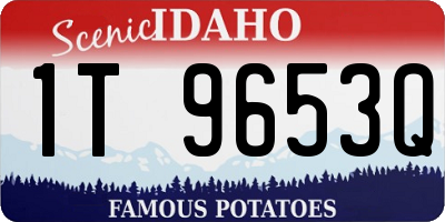 ID license plate 1T9653Q
