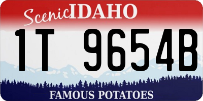 ID license plate 1T9654B