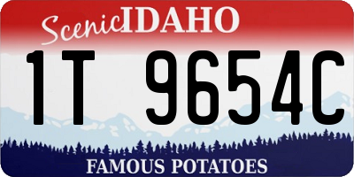 ID license plate 1T9654C