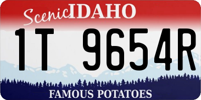 ID license plate 1T9654R