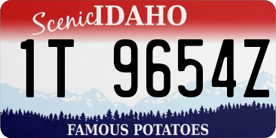 ID license plate 1T9654Z