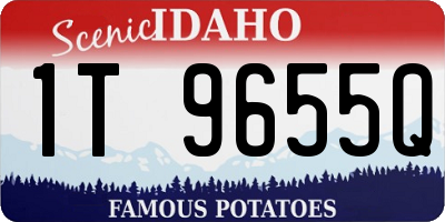 ID license plate 1T9655Q