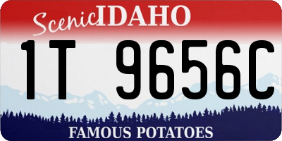 ID license plate 1T9656C