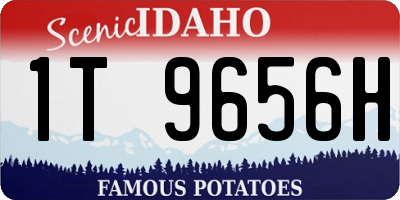 ID license plate 1T9656H