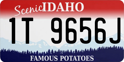 ID license plate 1T9656J