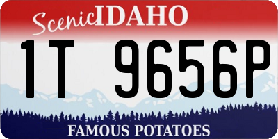 ID license plate 1T9656P