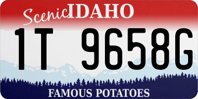 ID license plate 1T9658G