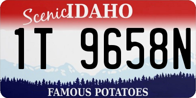 ID license plate 1T9658N