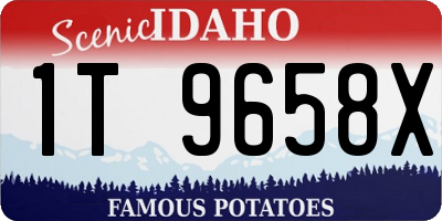 ID license plate 1T9658X