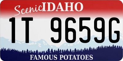 ID license plate 1T9659G