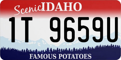 ID license plate 1T9659U